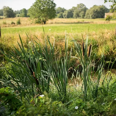 Les Du Moulin Castral Dom wakacyjny Geer