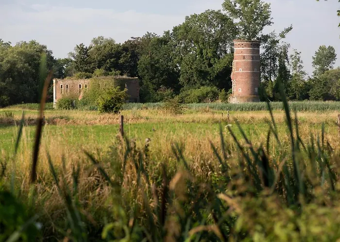 Hébergement de vacances Les Du Moulin Castral *