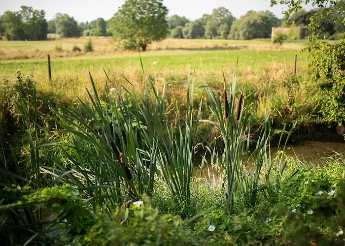 Les Du Moulin Castral Hébergement de vacances Geer